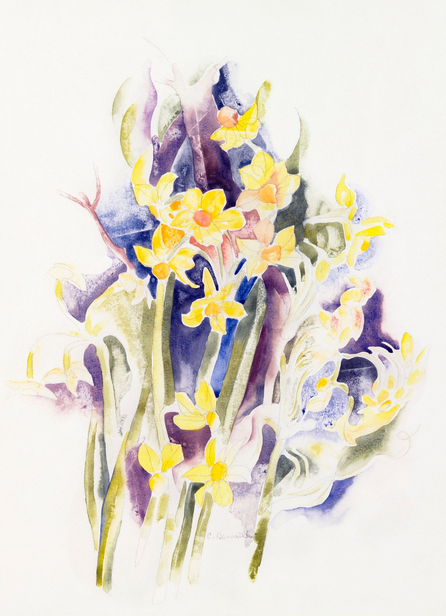 Small Daffodils by Charles Demuth | Charles Demuth Wall Art | Flower Painting Illustration | Flower Wall Art | Kitchen Wall Decor | Flowers