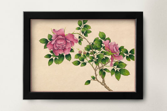 Rose by Zhang Ruoai Print | Rose Wall Art | Botanical Illustration | Chinese Wall Art | Kitchen Wall Decor | Flower Wall Art | Flower Poster