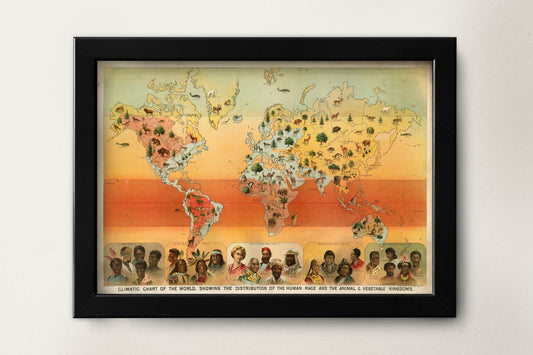 1983 Vintage Geographical Climatic Chart Print |  Old World Map | Educational Wall Art | Vintage World Map | Classroom Decor | School Prints