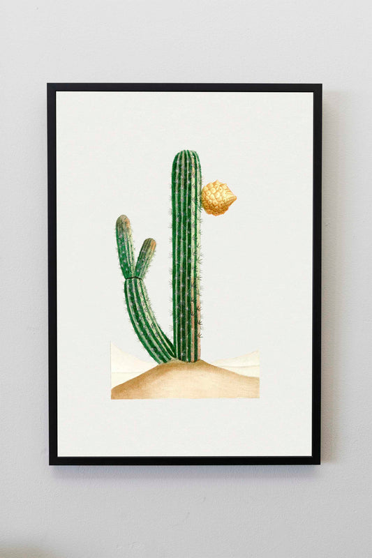 Vintage pilocereus cactus Print | Cactus Plant Wall Art | Cactus Decor | Vintage Cactus Illustration | Plant Wall Art | Kitchen Wall Art