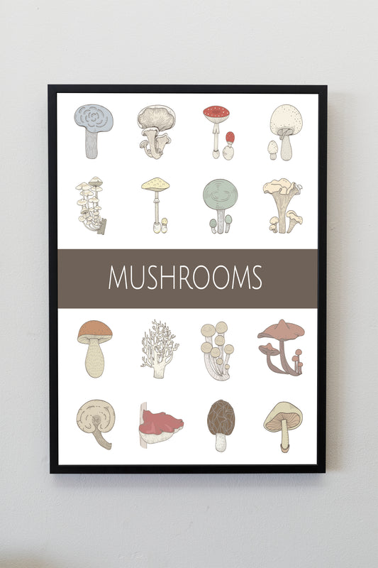 Variety of Mushrooms Fungi Vector Poster Illustration Print Wall Hanging Decor